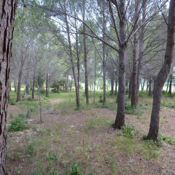 Offres de vente Terrain Bages 11100