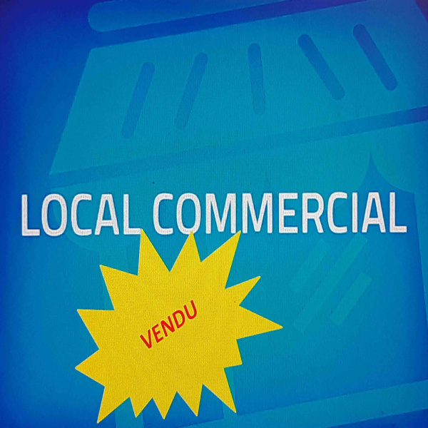 Vente Immobilier Professionnel Local commercial Port-la-Nouvelle 11210